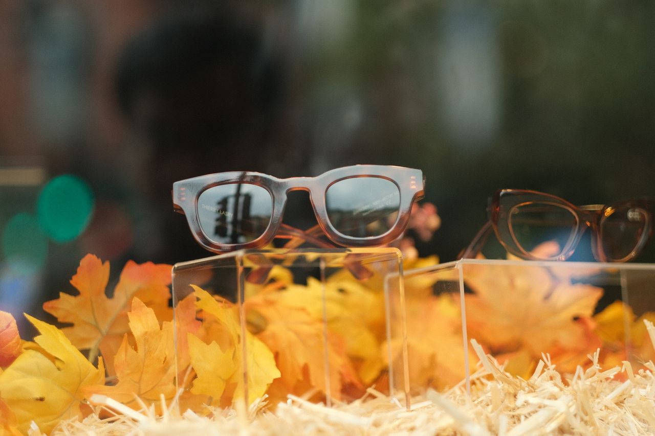 services-02 Elegant eyewear displayed amidst autumn leaves capturing fall fashion essence.